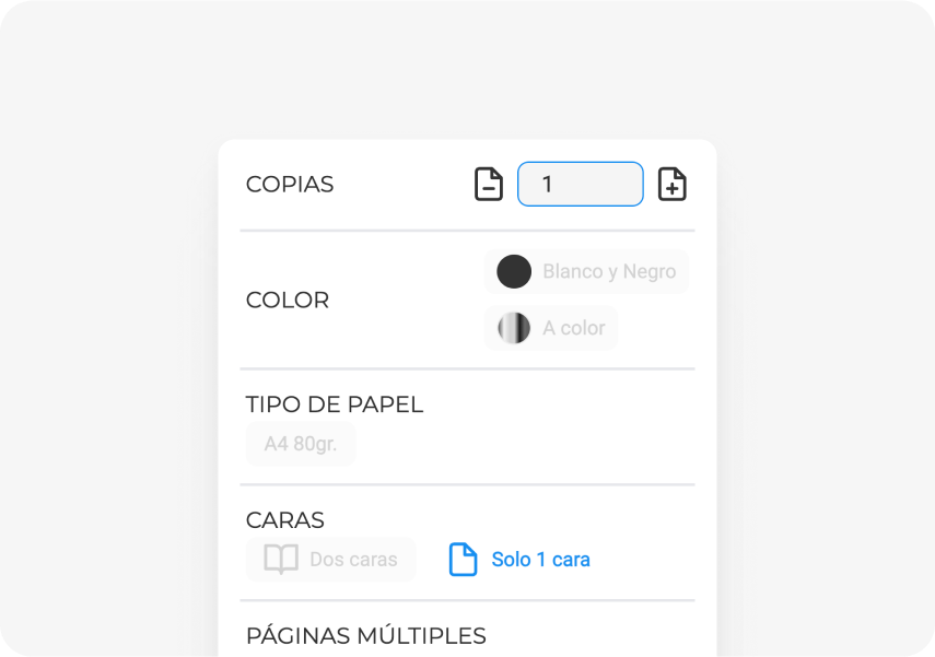 Home del plugin copistería online