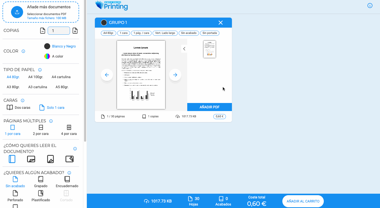 Preview del plugin copistería online